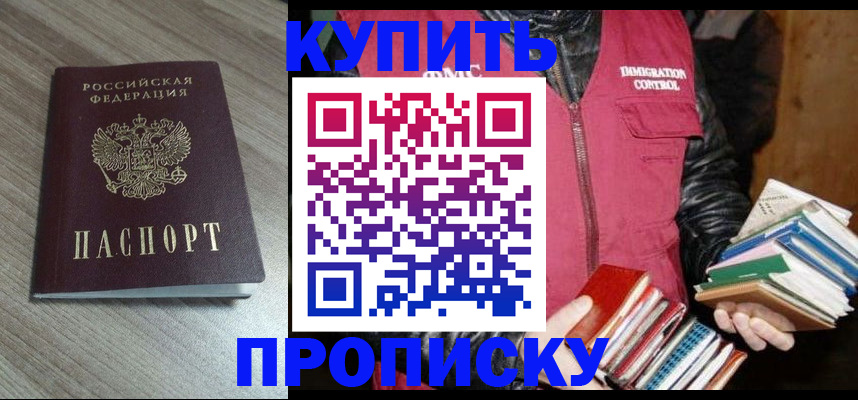 прописка 2025 в Шали